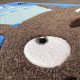 Totoro Family Totoro Family