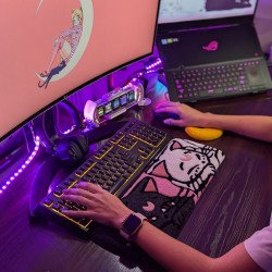 Fluffy Keyboard Rug 2CATS