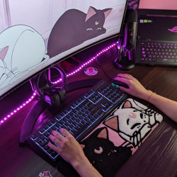 Fluffy Keyboard Rug 2CATS